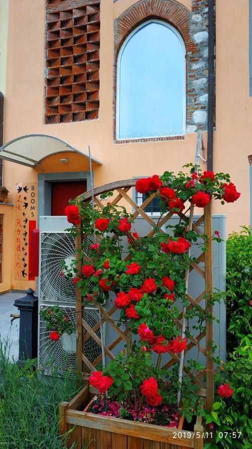 Bed and Breakfast Le Rondini Di San Donato à Lucques Extérieur photo